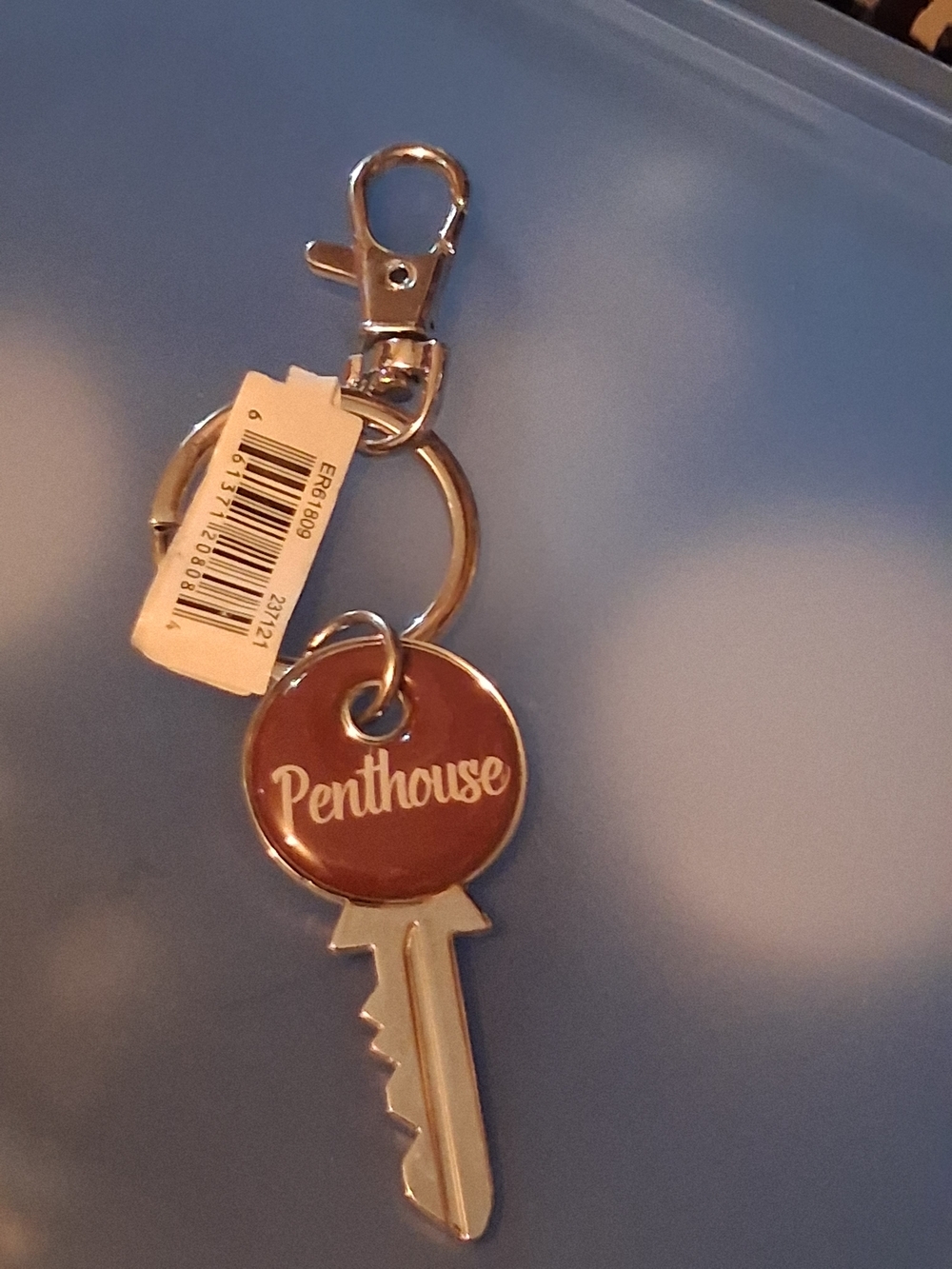 GANZ Silver Tone Keyring with White Tag and Metal Accent